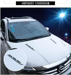 鯊魚(yú)腮裝飾 汽車個(gè)性改裝中的通風(fēng)美學(xué)