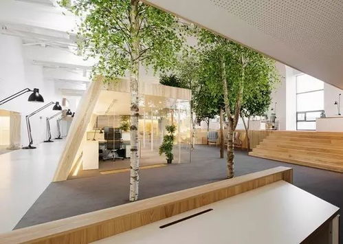 園藝療法與住宿服務 打造花草環繞的理想辦公空間